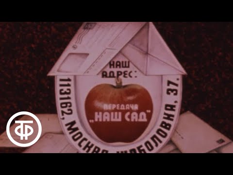 Видео: Наш сад. Осенние работы в саду. Все о луке порее (1985)