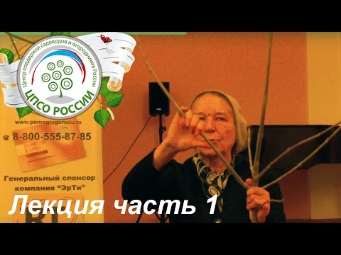 Видео: Обрезка и формирование плодовых деревьев и кустарников. Лекция. Часть 1.