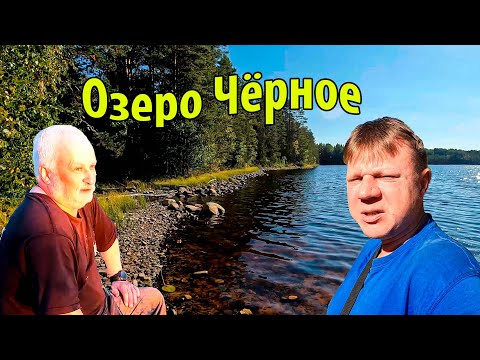 Видео: Озеро Чёрное | Рыбалка | Сбор черники, брусники и клюквы