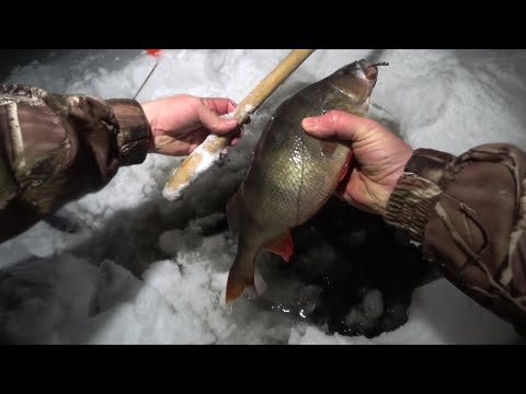 Видео: Озеро Рощинское. Рыбалка 12.03.23.