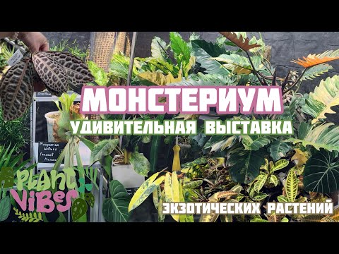 Видео: Монстериум | выставка экзотических растений | цветочная выставка | обзор растений