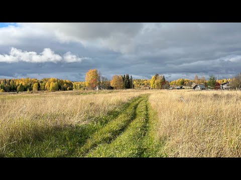 Видео: день в деревне 