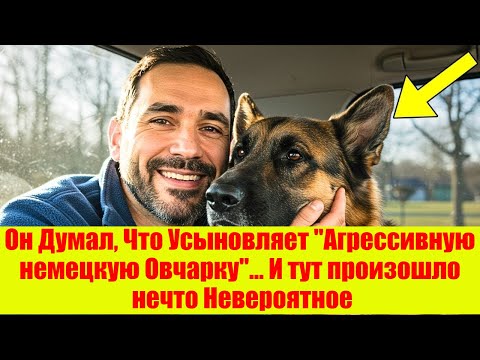 Видео: Он Думал, Что Усыновляет "Агрессивную немецкую Овчарку"… И тут произошло нечто Невероятное