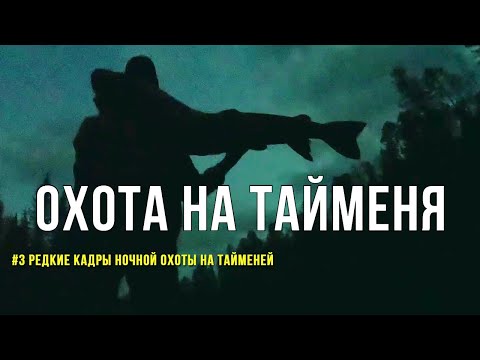 Видео: Ночная ОХОТА НА ТАЙМЕНЯ! Реальное видео рыбалки и редкие кадры атаки тайменя на мыша!