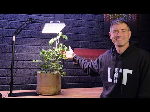 Видео: Обзор фитолампы LetPot 100W | Фитолампа с напольной подставкой