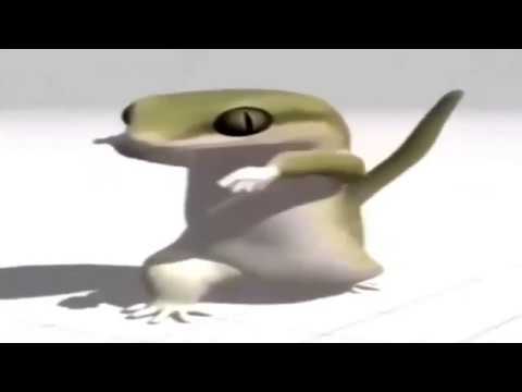 Видео: БЕШЕННЫЙ ГЕККОН (МОЙ БРО) ДИКО ФЛЕКСИТ ПОД БАРБАРИКОВ 10 ЧАСОВ 36 СЕКУНД