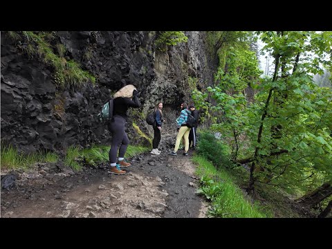 Видео: Америка как в кино: пешком 21 км по лесам и водопадам Орегона 🌲🇺🇸