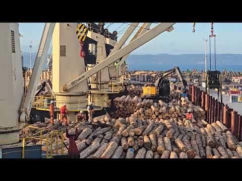 Видео: Погрузка леса в Новой зеландии окончание.