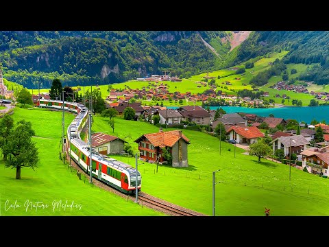 Видео: Успокаивающие, расслабляющие звуки 🌿 Успокаивают сердце, снимают беспокойство и пробуждают спокойст