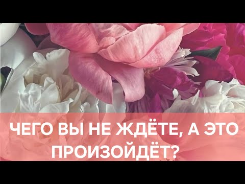 Видео: ЧЕГО ВЫ НЕ ЖДЁТЕ,  А ЭТО ПРОИЗОЙДЁТ?🥰🥰🥰🥰