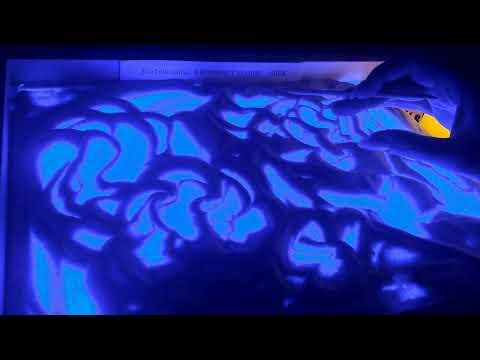 Видео: ✅️🤴МУЖЧИНА🌹, КОТОРЫЙ РИСУЕТ ТВОЙ ПОРТРЕТ👸🖌🖼🎨🫶🎁❤️❤️❤️❤️❤️❤️❤️❤️❤️❤️.