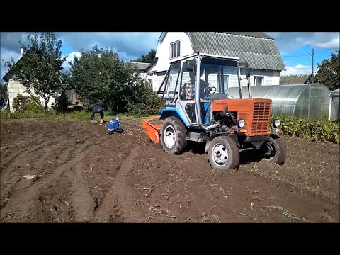 Видео: Самодельная однорядная копалка в работе копаем картошку друзьям Homemade tractor
