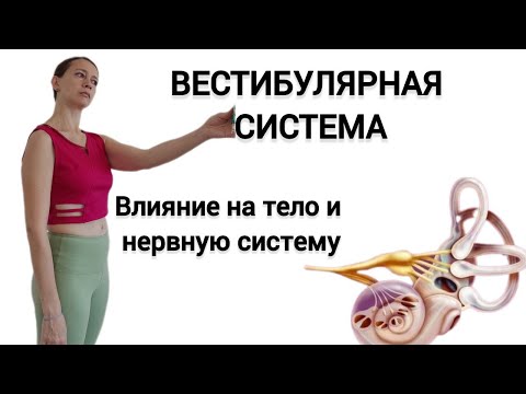 Видео: Вестибулярный аппарат.  Влияние на тело и нервную систему. Нейрофитнес