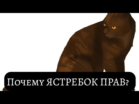 Видео: Почему Ястребок прав? | Коты-Воители | Трепаемся