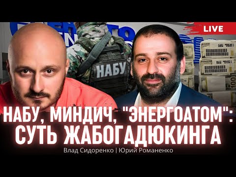 Видео: НАБУ, Миндич, "Энергоатом": суть жабогадюкинга. Влад Сидоренко, Юрий Романенко