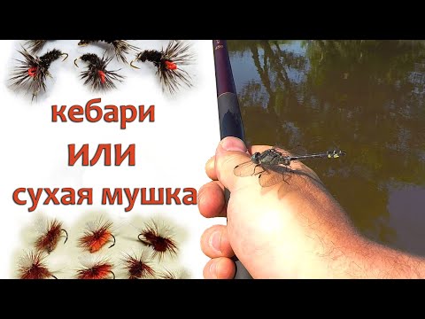 Видео: Кебари или Сухая Мушка? Ловля рыбы методом Тенкара на мушку Кебари ВВЕРХ по течению.