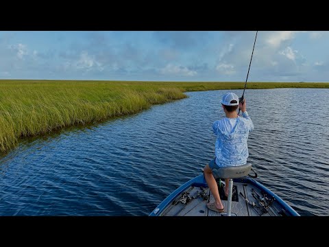 Видео: Высокая вода даёт начало НЕВЕРОЯТНОЙ осенней рыбалке!