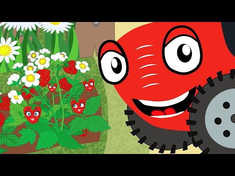Видео: 🚜 ТракТЫРишка песенки – Урожай 🥕🥒🍒 | Мультики про машинки
