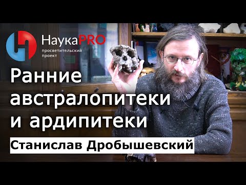 Видео: Ранние австралопитеки и ардипитеки – Станислав Дробышевский | Лекции по антропологии | Научпоп
