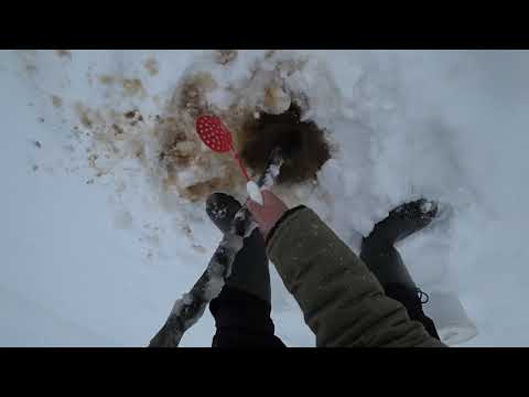 Видео: ПРОВЕРКА ТЫЧЕК НА НАЛИМА\ ЗИМНЯЯ РЫБАЛКА\ СПАД МОРОЗА\ КОМИ КРАЙ!