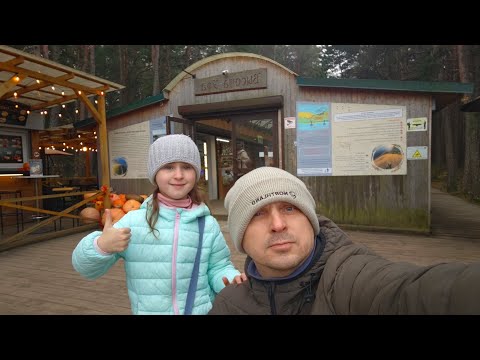 Видео: Путешествие в Калининград лучше начинать отсюда