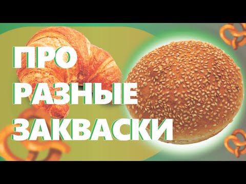 Видео: Закваска разновидности и использование в производстве. Как открыть пекарню.
