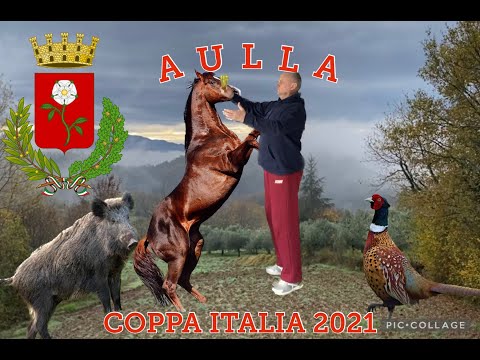 Видео: AULLA /АУЛЛА