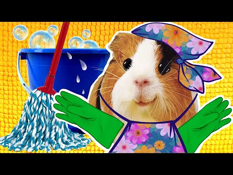 Видео: Морская свинка Бузя: Уборочный Челлендж - Кто Сделает Лучше и Быстрее Всех?