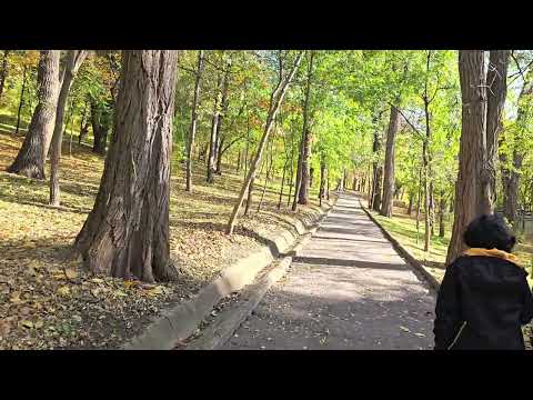 Видео: Осенним днём в парке на Комсомольском озере.(29.10.25).