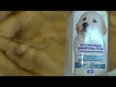 Видео: Как осветлить мех на шубе в домашних условиях