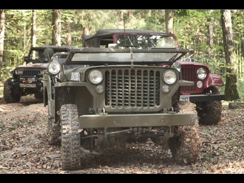 Видео: Willys. Ford GPW. Осенний офф-роуд в Хотьково (ч.1) _Autumn off road at Khot'kovo (p.1). Sep 2023