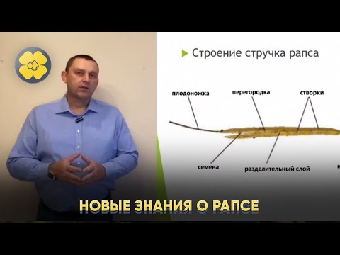 Видео: Новые знания о рапсе от нашего агронома.