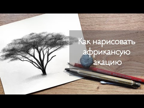 Видео: УРОК 6 - КАК АФРИКАНСКОЕ ДЕРЕВО | Рисуем шаг за шагом  | детальный разбор! | Рисунки для начинающих