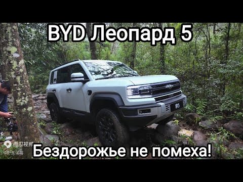 Видео: BYD Leopard 5 . 4.8 до сотни , танковый разворот и многое другое. Обзор . Тест драйв на бездорожье.