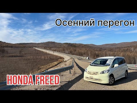 Видео: Осенний перегон HONDA FREED