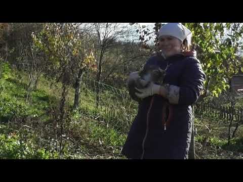 Видео: РОЗДІЛИЛИ - ЧОЛОВІКУ ОДНЕ, А МЕНІ  ІНШЕ