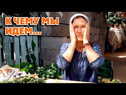 Видео: Семья, свадьба, ценности/ Лучше б я этого не видела 😱 5.07.22