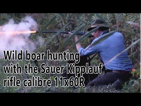 Видео: Охота на кабана с винтовкой Sauer & Sohn Kipplauf 11x60R XIX века