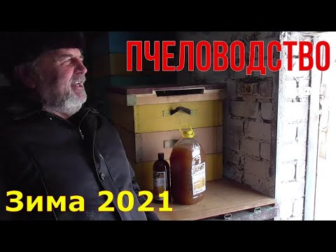 Видео: Пчеловодство / Как зимуют пчеловоды / Вакцинация .