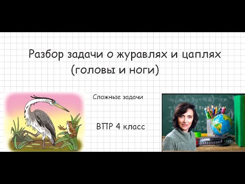 Видео: Задача о журавлях и цаплях (головы и ноги )