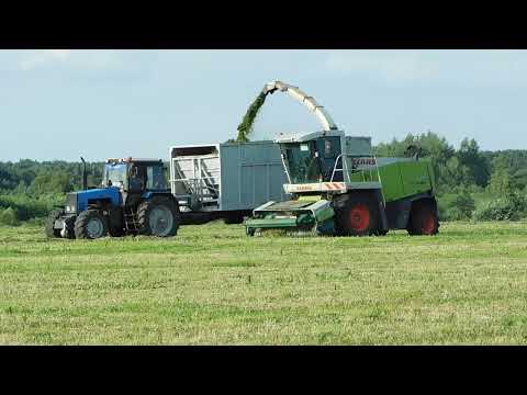 Видео: ☘️Сенаж 2023 года. CLAAS JAGUAR 870, МТЗ 1221.2, прицеп ПСС-15☘️