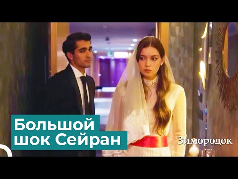 Видео: Свадебный разгром от Ферита Сейран | Зимородок 2 Cерия