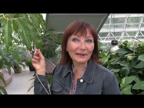 Видео: Ботанический сад Минск, Беларусь.