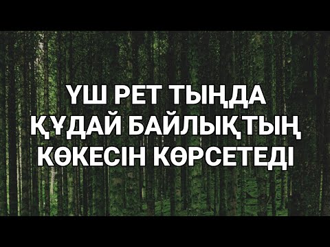 Видео: Үш рет тыңдасаң Алла саған байлықтың көкесін көрсетеді 2)3,45-49