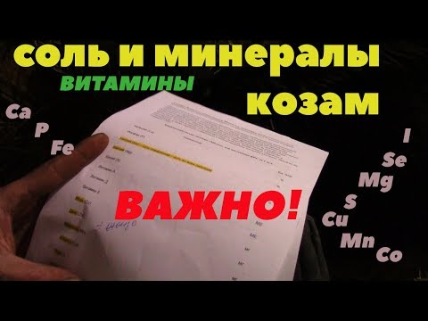 Видео: Соль, минералы и витамины козам