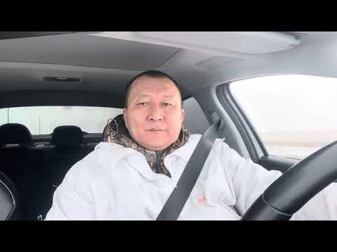 Видео: Охота на зайца