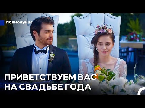 Видео: Любовь При Лунном Свете: Большая Любовь Вышла На Следующий Этап - Полнолуние