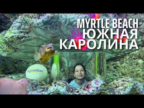 Видео: Миртл Бич Океанариум Wonderworks Южная Каролина