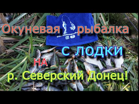 Видео: Окуневая рыбалка с лодки на р. Северский Донец!