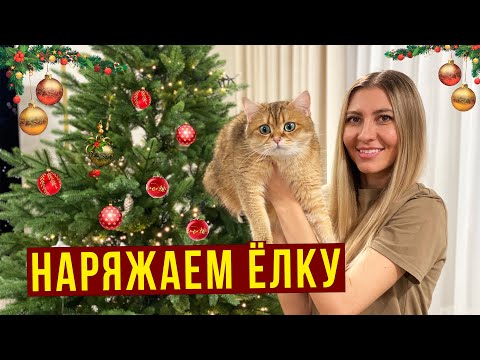 Видео: VLOG: Наряжаем ЁЛКУ - Готовимся к Новому ГОДУ, Глинтвейн и ГРИНЧ / Купила СЕРГИ и КОЛЬЦО